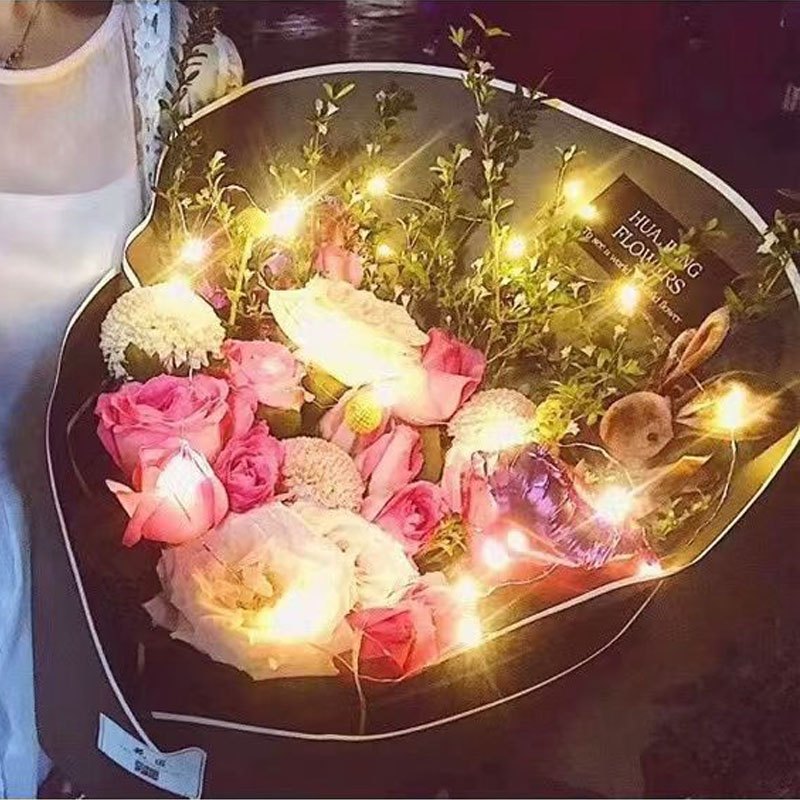 1pc String Lights for Bedroom, Party, Wedding, Christmas Halloween Decoration, 50/100LED